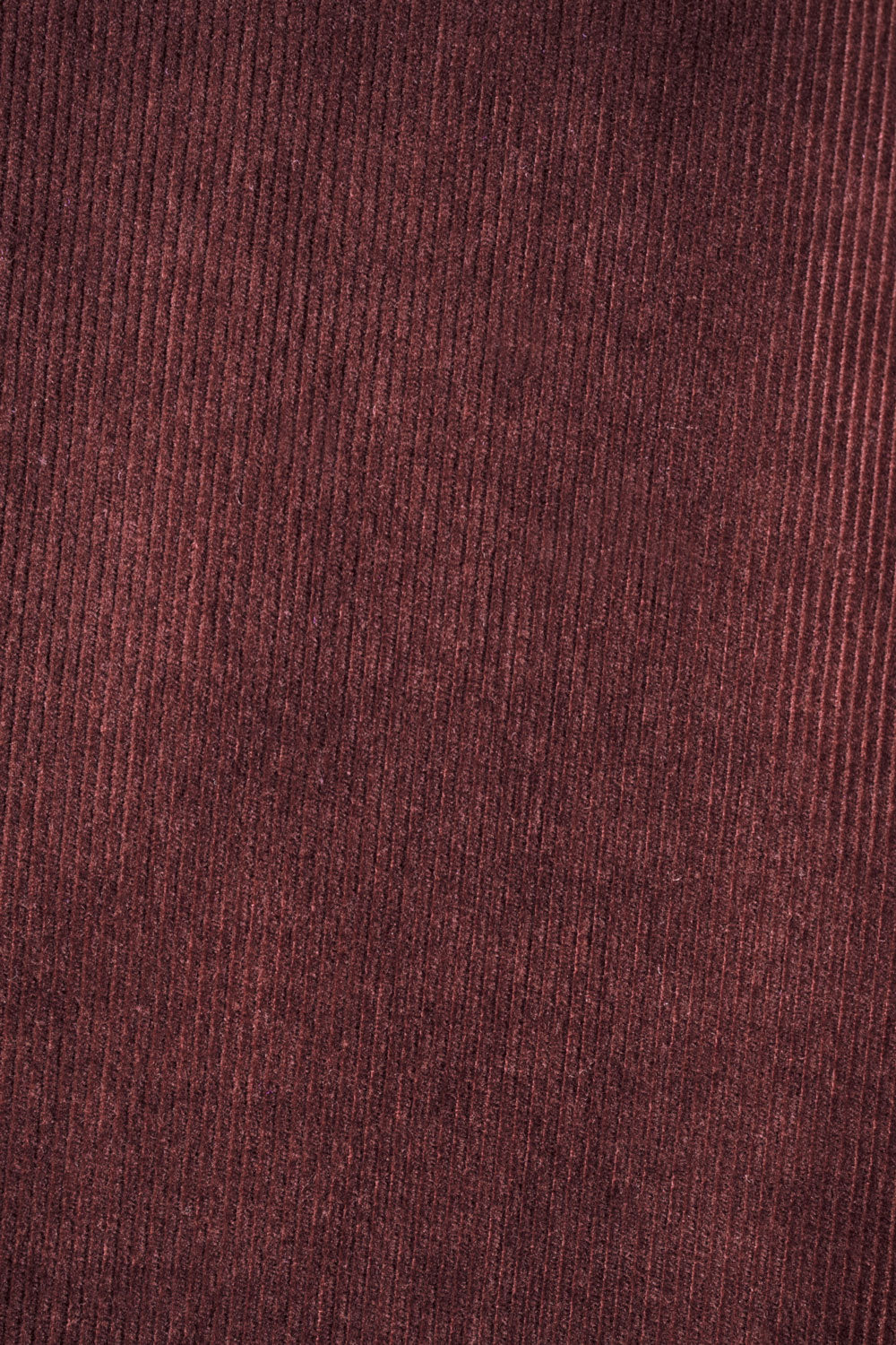 Pantalon Idéaliste en velours Cappuccino