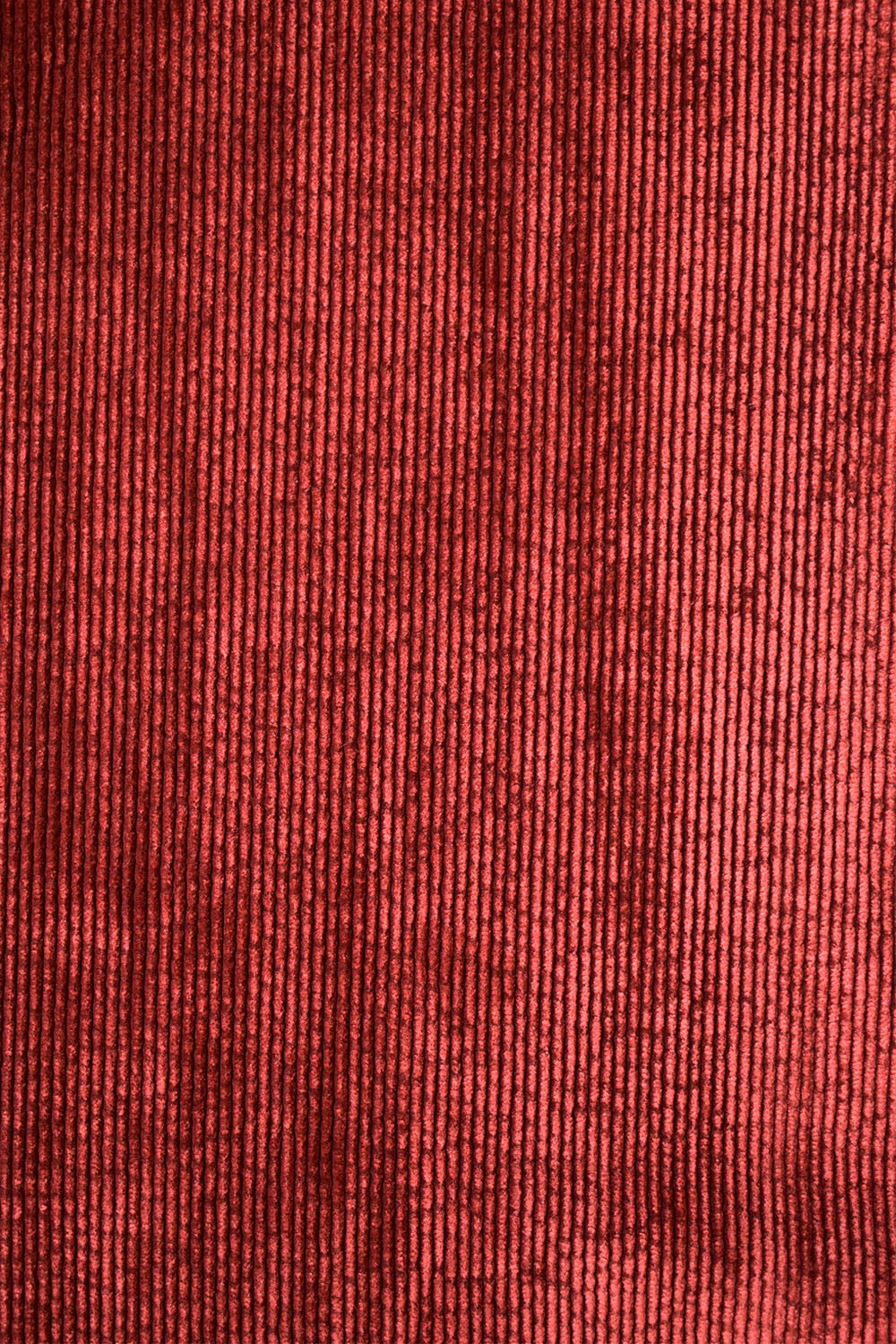Pantalon Idéaliste en velours Châtaigne